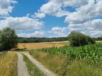 Trail Walking Cessières-Suzy - randonnée à  Cessieres 02 - Photo