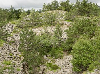 Tocht Stappen La Rochette - Le tour du Mont Signon au départ de la chambre d'hôtes La retrouvade - Photo