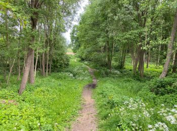 Excursión Senderismo Berchem-Sainte-Agathe - Sint-Agatha-Berchem - Berchem Dilbeek Grand Bigard 15 km - Photo