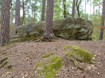 Excursión A pie Abenberg - Die Burg Abenberg und der Abenberger Wald - Photo