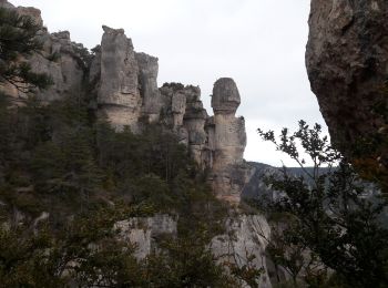 Excursión Senderismo Saint-Pierre-des-Tripiers - Sentier des corniches de la JONTE - Photo