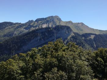 Randonnée Marche Faverges-Seythenex - POINTE DU VELAN - Photo