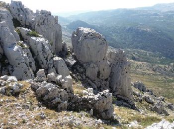 Randonnée A pied Gréolières - Montagne du Cheiron depuis la balise 30 sur la D2 - Photo