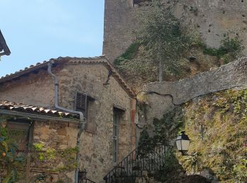 Tocht Stappen Roquebrune-Cap-Martin - CG06 château de Roquebrune - Photo