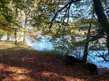 Randonnée Marche Saint-Sylvestre - Grandmont-Les Sauvages réduit 3,5 km - Photo