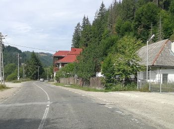 Tocht Te voet  - Circuitul Cheile Ordâncușii - Photo