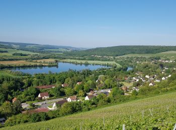 Tocht Stappen Barzy-sur-Marne - GR15 Vallée de la Marne de Marcilly à Mont-st-Père - Photo