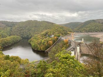 Tour Wandern Schleiden -  Vogelzang -parc national de Eifel - Photo