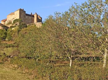 Excursión Bici de montaña Berzé-le-Châtel - Berze le Chatel - Photo