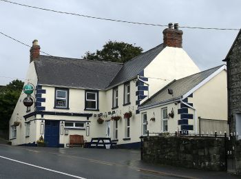 Excursión A pie The Municipal District of Muinebeag - Knockmullgurry Slí na Sláinte - Photo