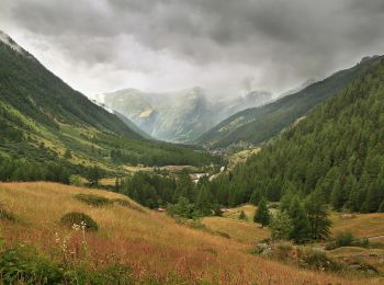 Percorso A piedi Blatten - Wiler-Blaten - Photo