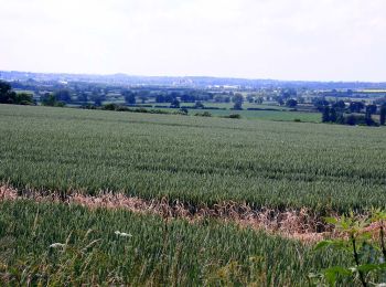 Tocht Te voet Cherwell - Round Cropredy Walk - Photo