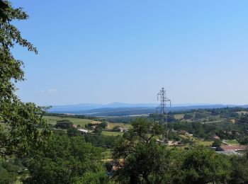 Tocht Stappen Mélecey - du fer au Mirabelles  - Photo