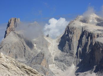 Tocht Te voet Primiero San Martino di Castrozza - IT-E711 - Photo