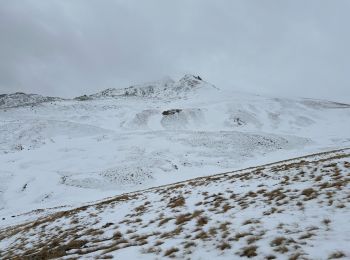 Randonnée Raquettes à neige Saint-Dalmas-le-Selvage - Col de l’Escuzier - Photo