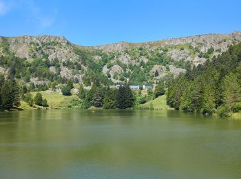 Tour Wandern Urbeis - Circuit des 2 lacs : lac du Forlet et lac Vert - Photo