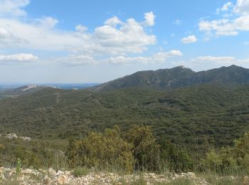 Trail Walking Eygalières - Eygalières Le Gros Calan - Photo