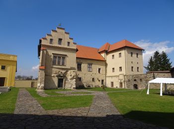 Tocht Te voet Polná - [Z] Polná místní, okruh - Photo