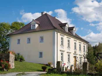 Excursión A pie Seybothenreuth - Seybothenreuth Steinkreuzweg - Photo