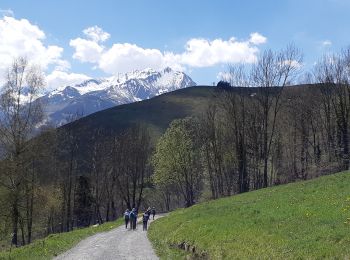 Percorso Marcia Gaillagos - GAILLAGOS Col de Couret Couraduque en boucle G3 du 21/04/2023