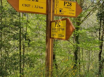 Randonnée Marche Bastelica - aFurestaDiZipituli - Photo