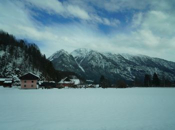 Randonnée A pied Bad Goisern am Hallstättersee - Ostuferwanderweg - Photo