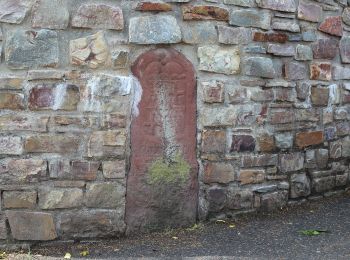 Percorso A piedi Geisenheim - Geisenheimer Rundweg I - Photo