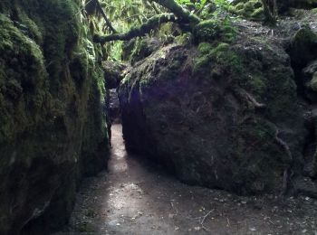 Tour Wandern Nant - Sce du D'ourson Léa Cabanelles - Photo