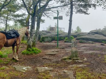 Percorso Equitazione Mollkirch - 2019-05-19 Picnic CVA Maennelstein - Photo