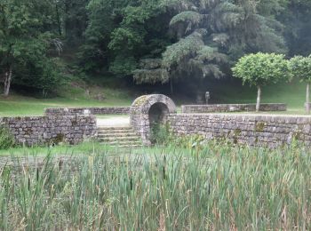 Randonnée Marche Clergoux - Sédières - Photo