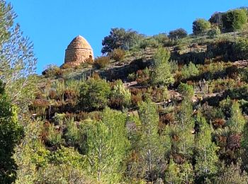 Tocht Stappen La Cadière-d'Azur - vallon du dégoûtent  - Photo