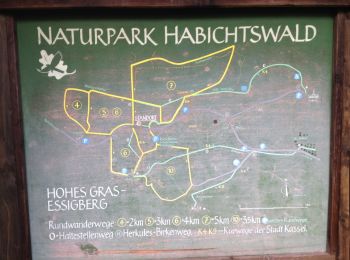 Tour Zu Fuß Habichtswald - Habichtswald, Rundweg 6 - Photo