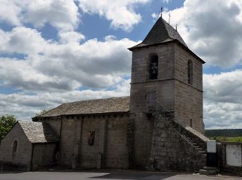 Trail On foot Recoules-d'Aubrac - Aubrac au Coeur - Saint-Urcize-Nasbinals - Photo