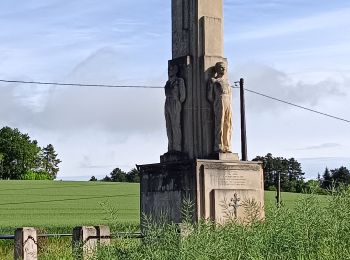 Tocht Stappen Laines-aux-Bois - Laines aux Bois - Photo