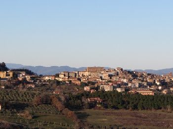 Tour Zu Fuß Chianciano Terme - Chianciano Terme - Riserva Naturale di Pietraporciana - Photo