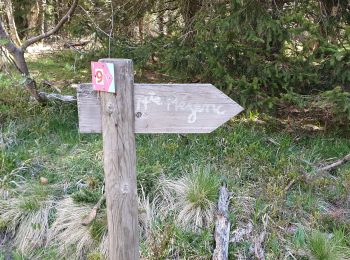 Randonnée Marche Borée - Le Mont Mezenc - Photo