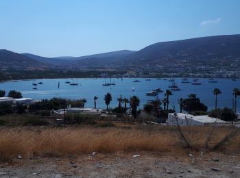 Percorso Marcia  - Delion sanctuary of Apollon, Paros, GR - Photo