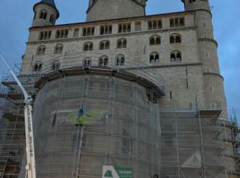 Percorso Marcia Braine-le-Château - Sentier de Compostelle de Braine le château à la basilique  Sainte Gertrude de Nivelles de - Photo