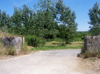 Trail On foot Barie - L'Imbarradys : boucle locale - Photo