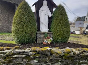 Tour Wandern Vresse-sur-Semois - Marche ADEPS à Nafraiture - Photo