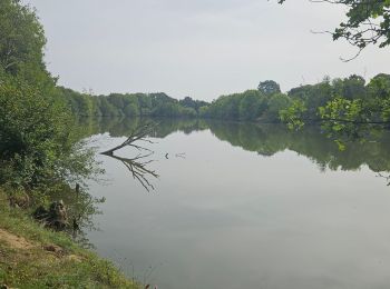 Tour Elektrofahrrad Hédé-Bazouges - Hédé à Rennes - Photo