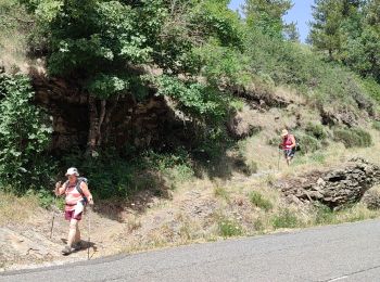 Tour Wandern Mont Lozère et Goulet - le Bleymard  - Photo