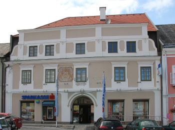 Tour Zu Fuß Gemeinde Aspangberg-St.Peter - Aspangberg St. Peter - Grüne Wiese - Photo