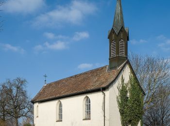 Randonnée A pied Oberteuringen - Kapellenweg - Photo