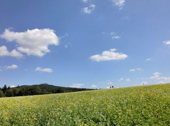 Percorso A piedi Tröstau - Rund um die Kösseine - Photo