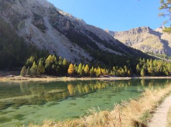 Trail Walking Villar-Saint-Pancrace - crête de Vallouret - Photo