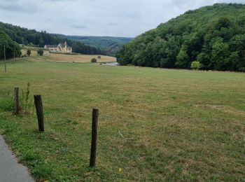 Tocht Mountainbike Bouillon - VTT Rochehaut , Botasart , Corbion , Poupehan, Rochehaut  - Photo