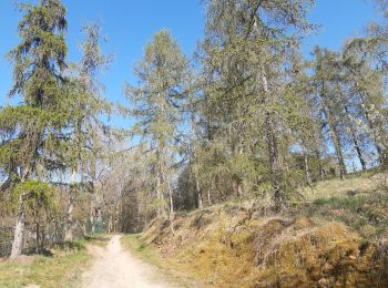 Randonnée Marche Trooz - autour de Prayon (si on m avait dit ...) - Photo