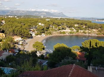 Trail Walking La Seyne-sur-Mer - fabregas, batterie de peyras, la corniche - Photo