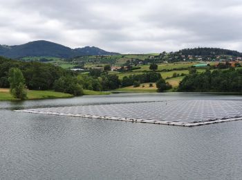 Trail Walking Mornant - Mornant-Lac de la Madone à St Sorlin - Photo